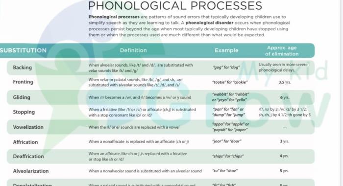 phonological processing